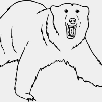 BEAR021 Thumbnail