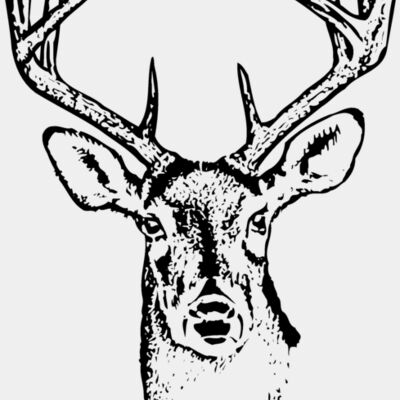 DEER010 Thumbnail