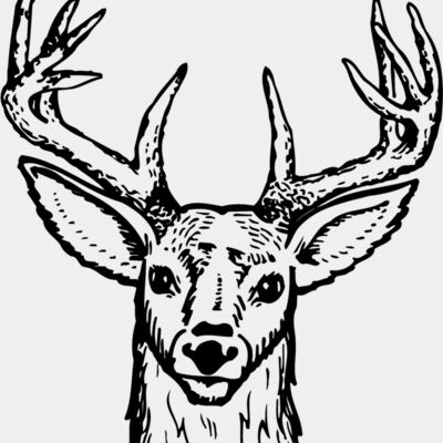 DEER012 Thumbnail